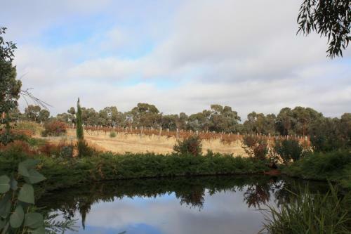Agroturismo Hotham Ridge Winery And Cottages