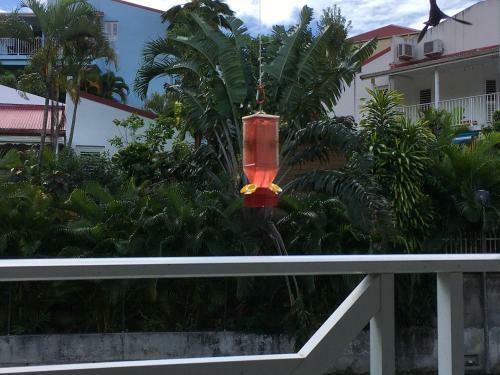 Apartamento Le Colibri