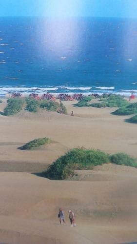 Apartamento Relax Bungalows