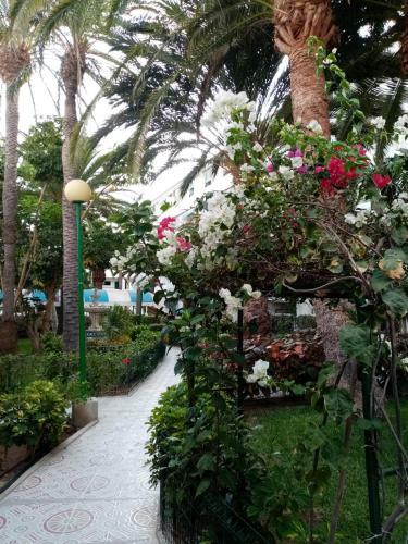 Apartamento Surycan
