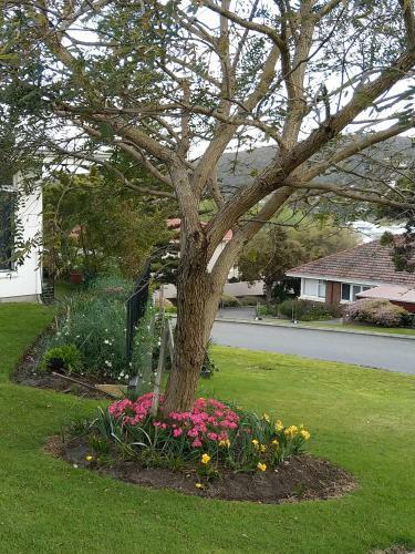 Bed & Breakfast C'est La Vie