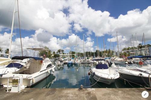 Apartamento Agr�able Cocon � La Marina de La Pointe Du Bout