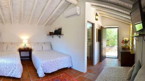 Finca Las Olivas