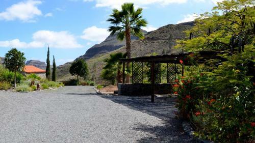 Finca Las Olivas