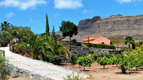 Finca Las Olivas