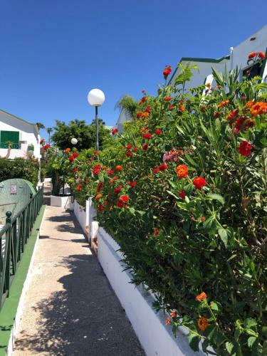 Sweet Apartment Maspalomas