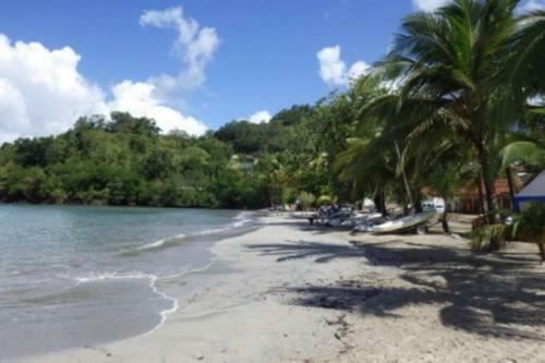 Apartamento Eden Plage