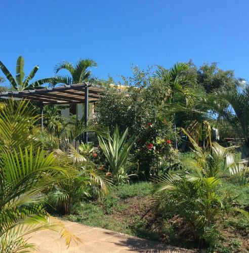 G�te Maison Flandrin Guadeloupe