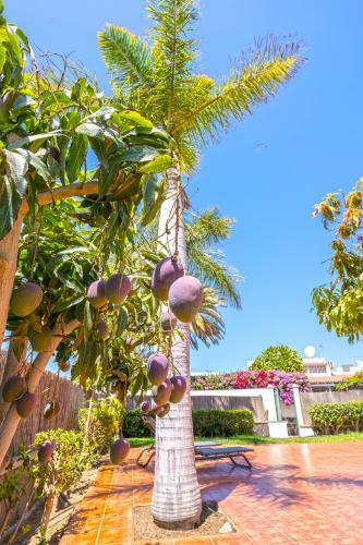 Golf Paradise With Private Garden And Barbecue In Maspalomas