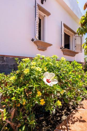 Golf Paradise With Private Garden And Barbecue In Maspalomas