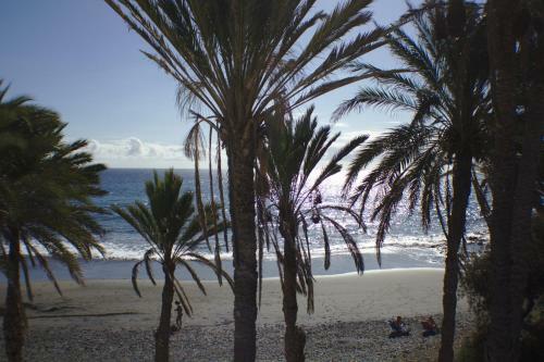 Apartamento Bungalow Playa Del Aguila