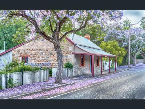 Villa Fig Tree Cottage