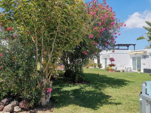 Bed & Breakfast Seaside Bungalow