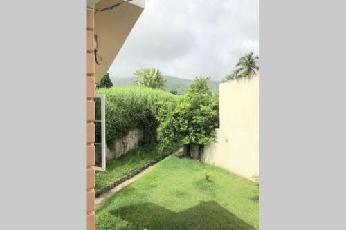 Apartamento Olive's Nest Of Liguanea
