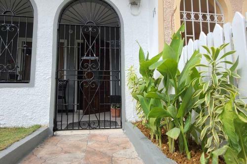 Apartamento Olive's Nest Of Liguanea