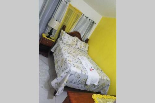 Apartamento Olive's Nest Of Liguanea