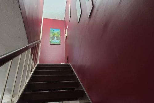 Apartamento Olive's Nest Of Liguanea