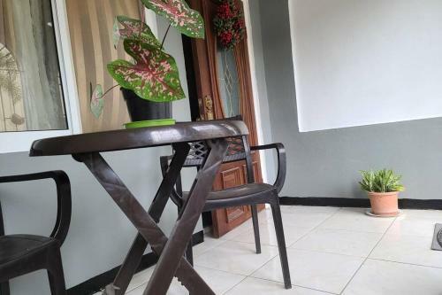 Apartamento Olive's Nest Of Liguanea