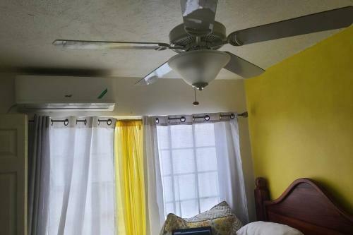 Apartamento Olive's Nest Of Liguanea