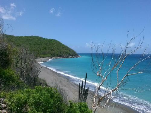 Jamaican Hideaway