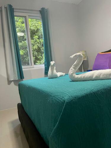 Apartamento Jamrock Suites