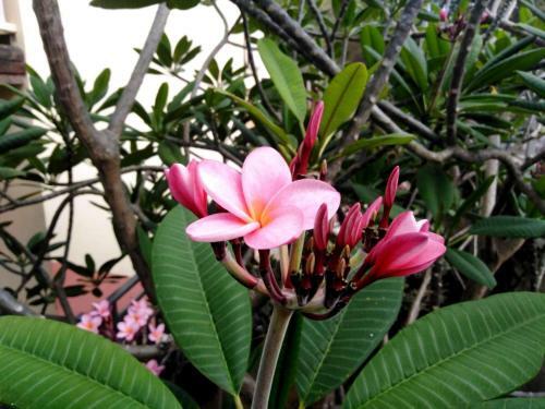 Apartamento Studio Capucine