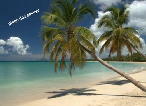 Apartamento Appartement T2 Route Des Salines
