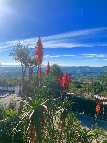 Bed And Breakfast Villa Ma�ana