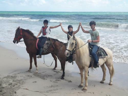 Carr� Coco