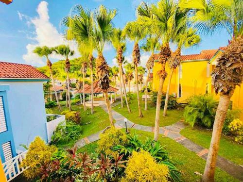 Apartamento Le Hamo - Tropical : T2 Piscine Proche Plage