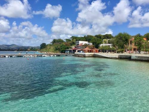 Apartamento Le Hamo - Tropical : T2 Piscine Proche Plage