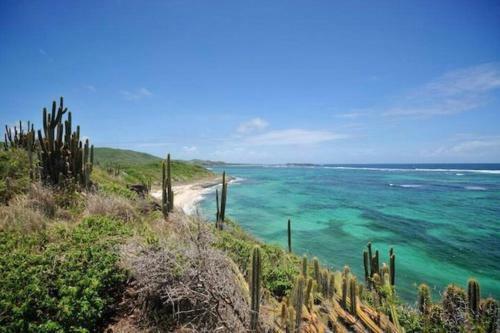 Apartamento Le Hamo - Tropical : T2 Piscine Proche Plage