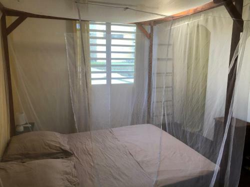 Apartamento T2 Les Pieds Dans L'eau, Vue Mer Caraibes