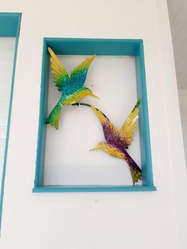 Apartamento Sainte-luce 2 T1 Hibiscus Et Colibris