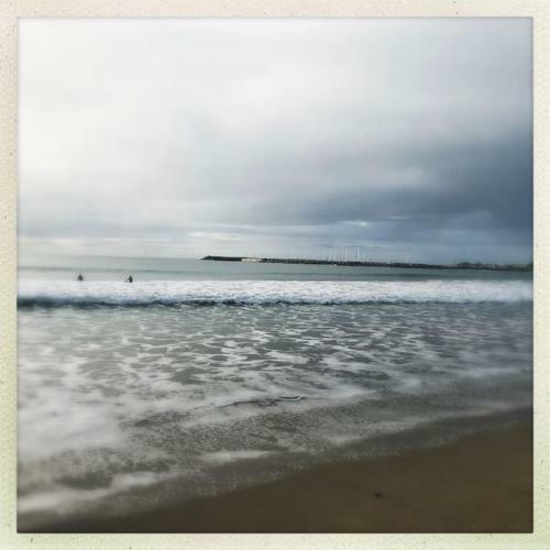 Birds Nest - Absolute Oceanviews