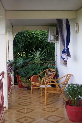 Hostal The Kapokier