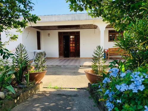 Hostal The Kapokier