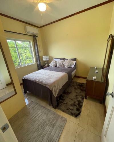 2-bed Apartment Drax Hall Ocho Rios AC And Wifi