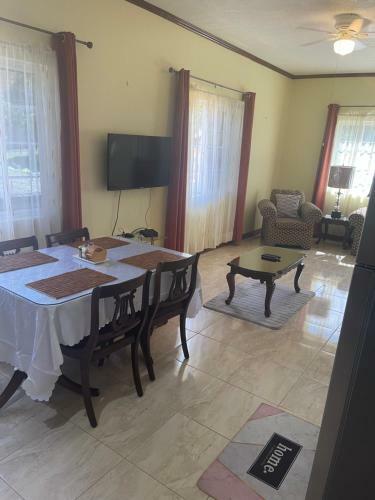 2-bed Apartment Drax Hall Ocho Rios AC And Wifi