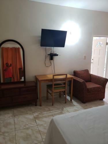 Wizzy Apartment Montego Bay