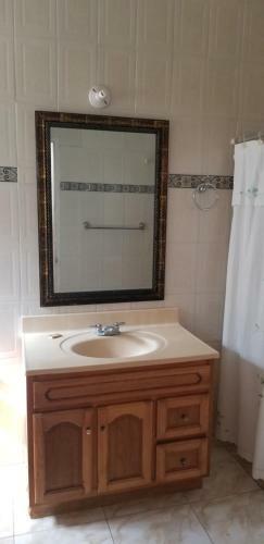 Wizzy Apartment Montego Bay