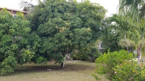 Ava's Getaway, 3bed, Ac, Wifi