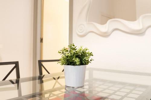 Apartamento Cathedral Suite