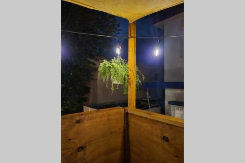 Apartamento Relaxing Tropical Studio