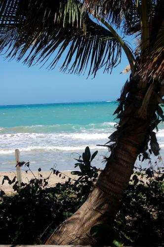 Apartamento Ivbb Beach Studio
