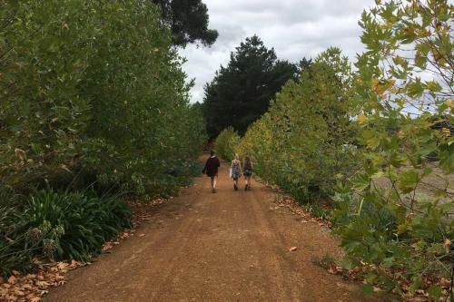 Myrtlemae Farm