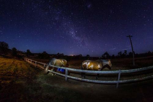 Myrtlemae Farm