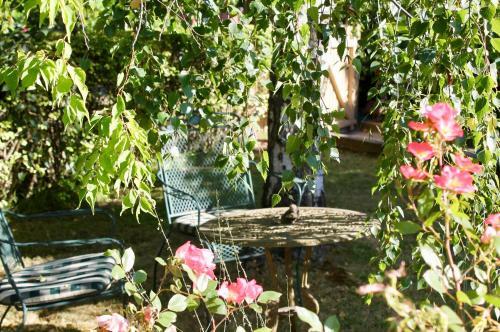 Silver Birch B&B