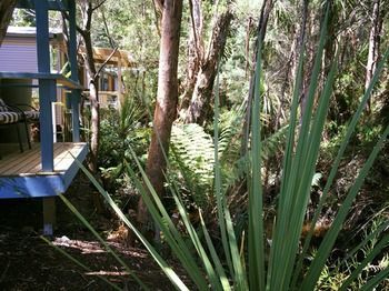 Strahan Holiday Park