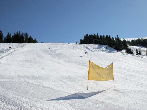 Chalet Speik